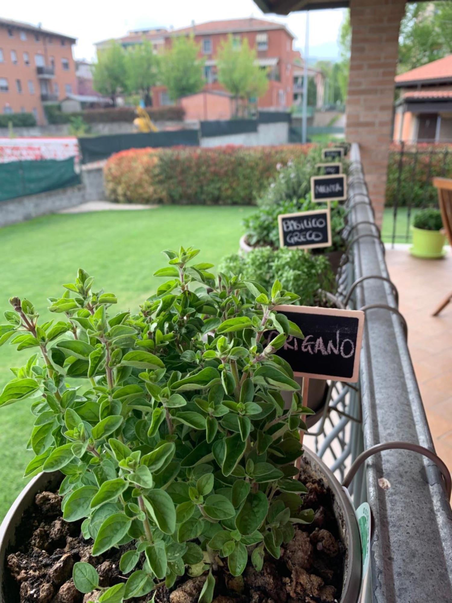 Appartamento Con Giardino Pontecchio Marconi Luaran gambar
