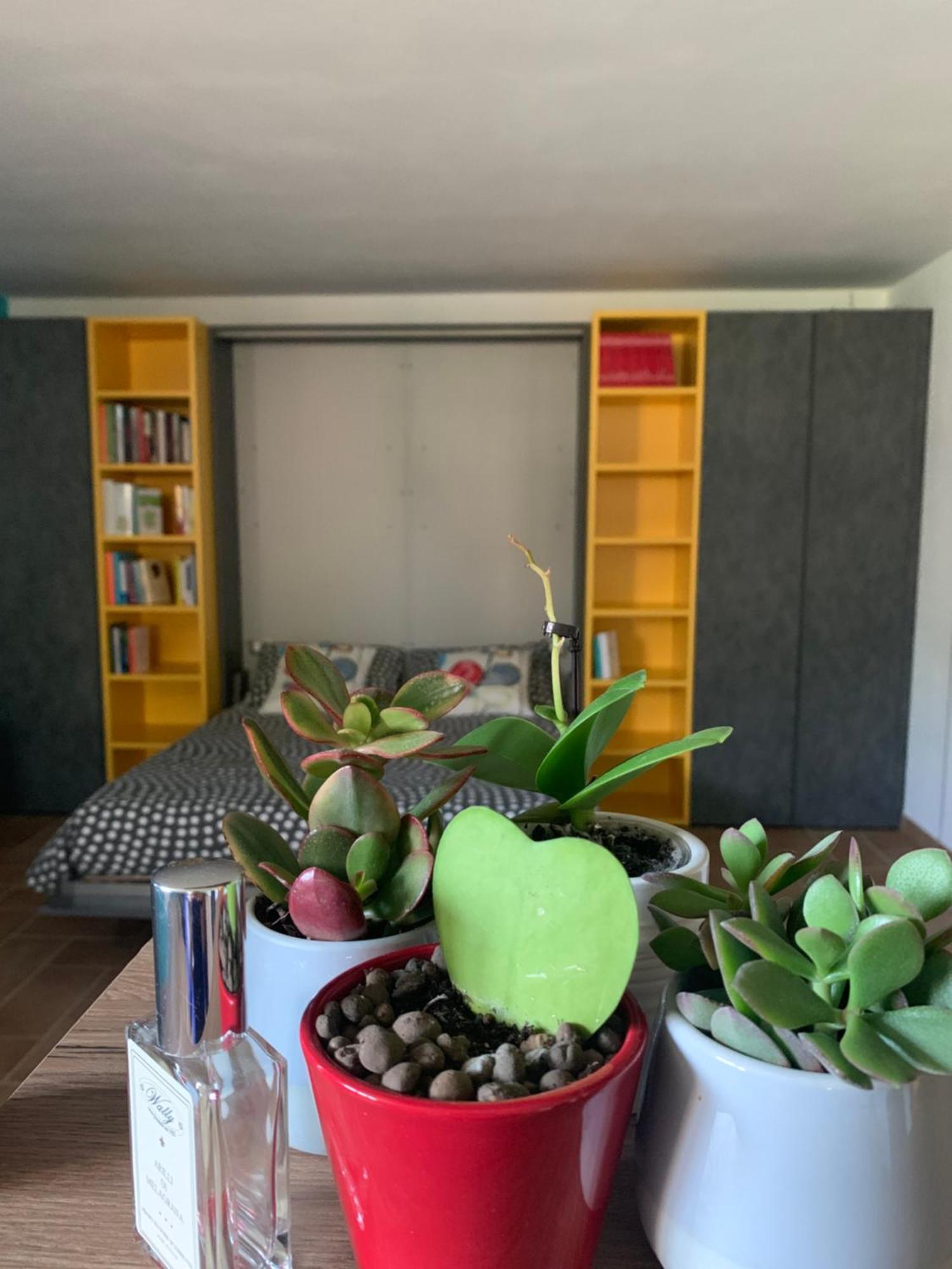 Appartamento Con Giardino Pontecchio Marconi Luaran gambar